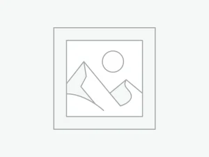 woocommerce placeholder